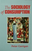 The Sociology of Consumption (eBook, PDF)