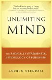 Unlimiting Mind (eBook, ePUB)