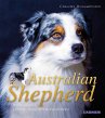 Australian Shepherd - Bild 1