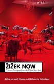 Zizek Now (eBook, PDF)