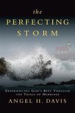 Perfecting Storm (eBook, ePUB)