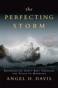 Cover Perfecting Storm (eBook, ePUB)