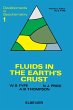 Fluids In The Earth's Crust (eBook, PDF) - Bild 1