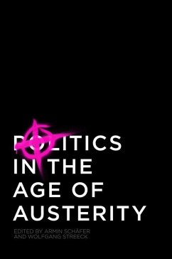 Politics in the Age of Austerity (eBook, ePUB)