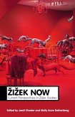 Zizek Now (eBook, ePUB)