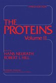 The Proteins Pt 3 (eBook, PDF)