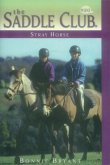 Stray Horse (eBook, ePUB)