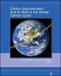 Carbon Sequestration and Its Role in... - Bild 1