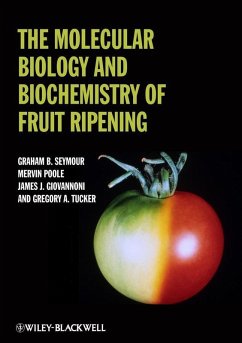 The Molecular Biology and Biochemistry of Fruit Ripening (eBook, ePUB) - Seymour, Graham; Tucker, Gregory A.; Poole, Mervin; Giovannoni, James