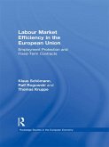 Labour Market Efficiency in the European Union (eBook, ePUB)