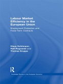 Labour Market Efficiency in the European Union (eBook, PDF)