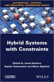 Hybrid Systems with Constraints (eBook, ePUB)