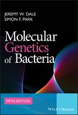 Molecular Genetics of Bacteria (eBook, ePUB)