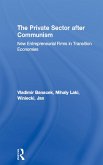 The Private Sector after Communism (eBook, ePUB)