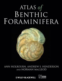 Cover Atlas of Benthic Foraminifera (eBook, PDF)