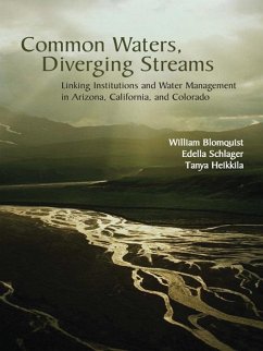 Common Waters, Diverging Streams (eBook, ePUB) - Blomquist, William; Schlager, Edella; Heikkila, Tanya