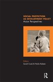 Social Protection as Development Policy (eBook, PDF)