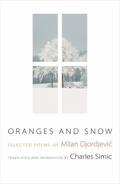 Oranges and Snow (eBook, ePUB)