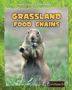 Cover Grassland Food Chains (eBook, PDF)