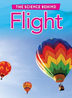 Cover Flight (eBook, PDF)