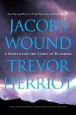 Jacob's Wound (eBook, ePUB)
