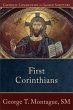 First Corinthians (Catholic Commentary... - Bild 1