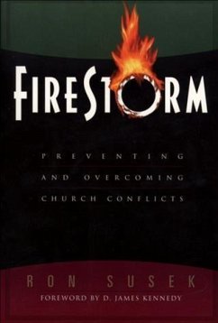 Firestorm (eBook, ePUB) - Susek, Ron