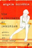 The Aftermath of Feminism (eBook, PDF)