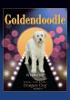 Goldendoodle (eBook, ePUB) - Bild 1