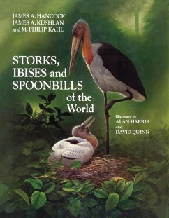 Cover Storks, Ibises and Spoonbills of the World (eBook, ePUB)