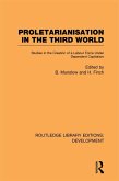 Proletarianisation in the Third World (eBook, PDF)