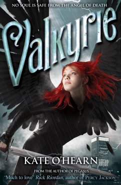Cover Valkyrie (eBook, ePUB)