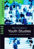 Key Concepts in Youth Studies (eBook, PDF)