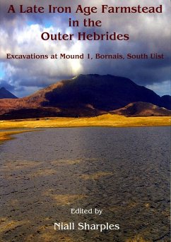 Late Iron Age farmstead in the Outer Hebrides (eBook, ePUB)