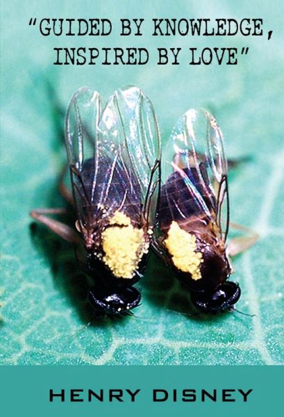 Guided by Knowledge, Inspired by Love (eBook, ePUB) Guided by Knowledge, Inspired by Love (eBook, ePUB)