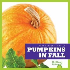 Pumpkins in Fall - Schuh, Mari C