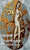 Hippie Picaresque (eBook, ePUB)