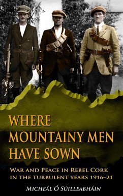 Where Mountainy Men Have Sown:War and Peace in Rebel Ireland 1916-21 (eBook, ePUB) - Ó Suilleabháin, Micheál