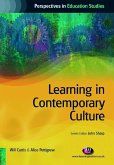 Learning in Contemporary Culture (eBook, PDF)