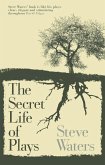 The Secret Life of Plays (eBook, ePUB)