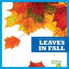 Leaves in Fall - Schuh, Mari C