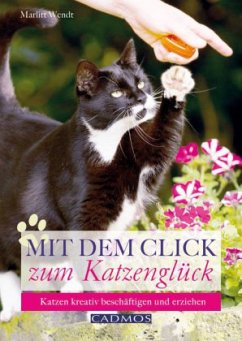 Mit dem Click zum Katzenglück - Wendt, Marlitt