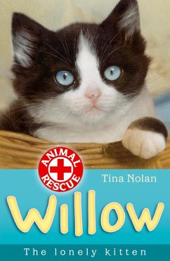Cover Willow the lonely kitten (eBook, ePUB)