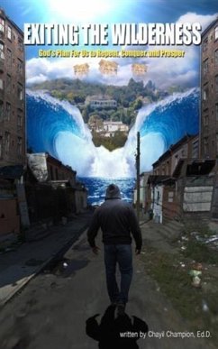 Cover Exiting the Wilderness (eBook, ePUB)