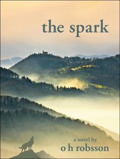Cover Spark (eBook, ePUB)