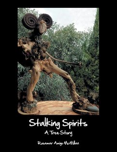 Stalking Spirits - McMillan, Rosamar Amigo