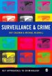 Surveillance and Crime (eBook, PDF) - Bild 1