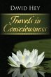 Travels in Consciousness (eBook, ePUB) - Bild 1