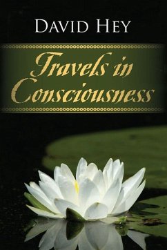 Travels in Consciousness (eBook, ePUB) - David Hey