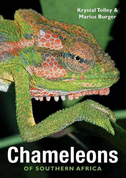 Chameleons of Southern Africa (eBook, PDF) Chameleons of Southern Africa (eBook, PDF)